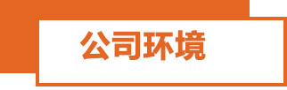 金葉公司環境